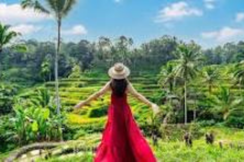 Ubud Tour